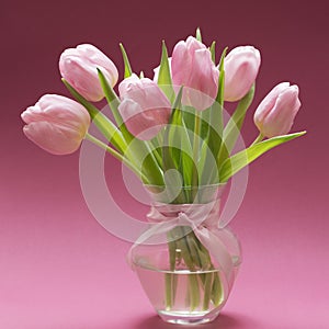 Blossoming light pink tulips, bright springtime bouquet floral card, selective focus 4