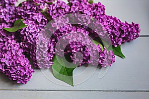 Blossoming lilac flowers on wooden table, flat lay.