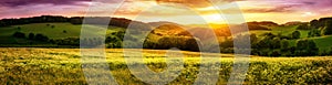 Blossoming meadow sunset panorama
