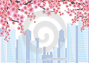 Blossoming Oriental cherry background