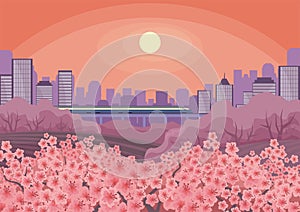 Blossoming Oriental cherry and city