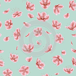 Blossoming sakura flowers Japanese seamless pattern. EPS 10 vector