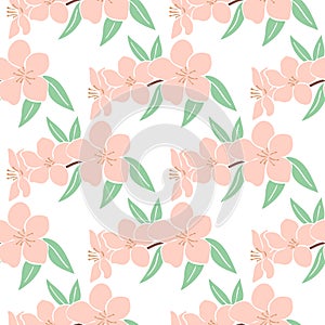 Blossoming tree branches apples or cherries seamless pattern