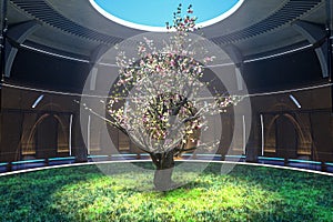 Blossoming tree in center of indoor garden, surrounded by lush grass. Sunlight through open ceiling, illuminating dark
