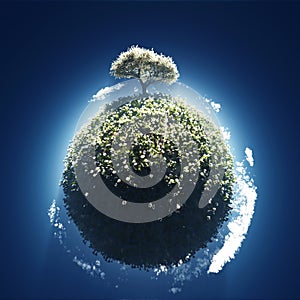 Blossoming tree on small planet photo