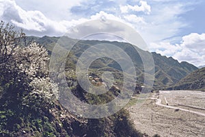 Blossoming trees with mountain and withered river view