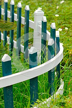 The blove picket fencing