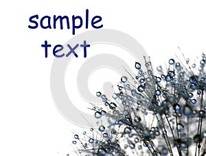 Blow-ball with water drops