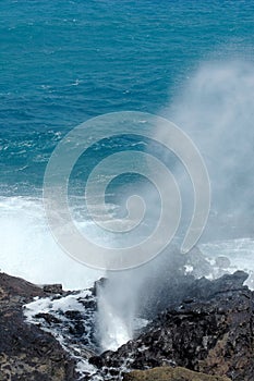 The Blow Hole