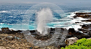 Blow Hole