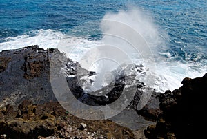 Blow hole plume of water Hawaii photo