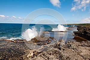 Blow Holes in Tonga, water spouting out rocks on shore of South Pacific Ocean photo