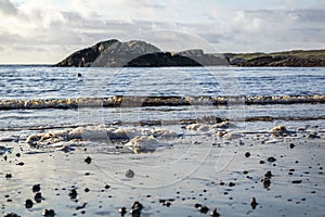 Blow lugworm poo on the west coast of Ireland - Arenicola Marina photo