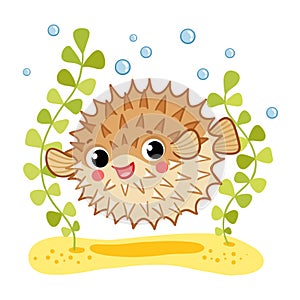 Blowfish isolated on white background. Vector illustration.