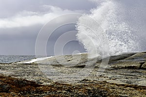 Blowhole- Bicheno, Tasmania, Australia