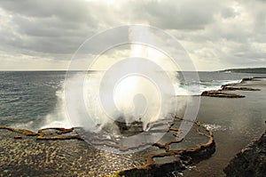 blowhole explosion on tonga coastline in south pacific photo