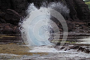 Blowhole