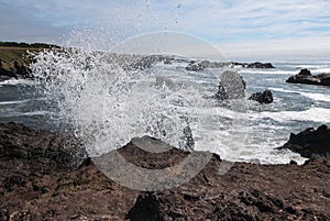 Blowhole in the rocks, Mendocino coast