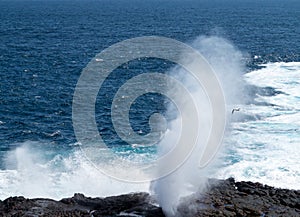 Blowhole at Suarez Point on Galapagos