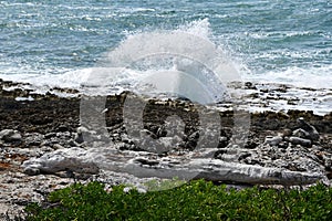 The Blowholes on the East End on Grand Cayman in the Cayman Islands