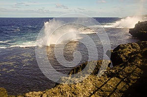 The Blowholes, Tonga photo