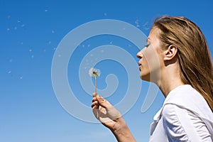 Blowing on dandelion