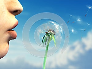 Blowing on a dandelion