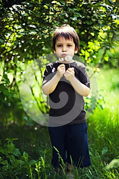 Blowing dandelion