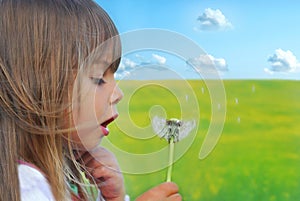 Blowing dandelion