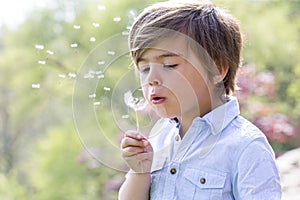 Blowing Dandelion Seeds Away