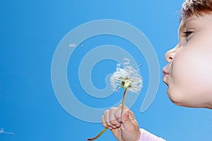 Blowing dandelions away
