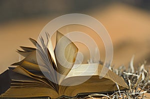 Blowing pages in pink sand dunes