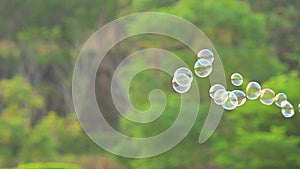 Blowing soap bubbles floating in the air with natural green blurred bokeh background for children and kids in the park