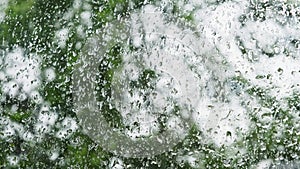 A blowing tree during a storm behind a window with drops