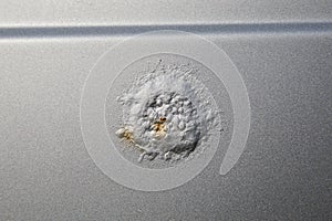 Blown paint bubble, rust spot on car. Peeled paint