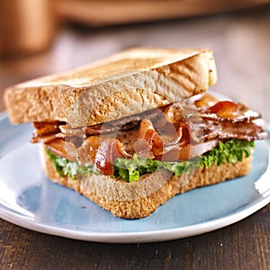 BLT bacon lettuce tomato sandwich