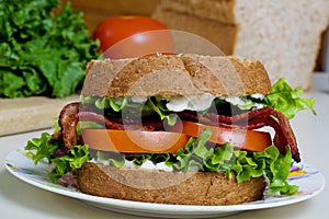 BLT sandwich photo