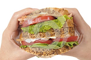 BLT sandwich by holding hands