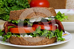 BLT Sandwich with soup photo