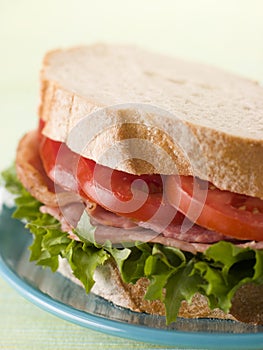 BLT on white bread photo