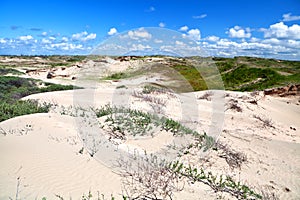 Sand dunes by Zandvoort aan Zee photo