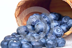 Bluberries in bark basket on a white background cloe up