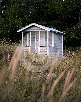 A blue abandoned beach hut in the tall grass on the beach in the village Falsterbo, Sweden
