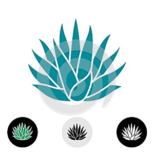 Blue agave plant vector silhouette.