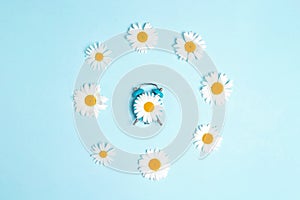 Blue alarm clock with chamomile flowers on a blue background