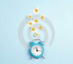 Blue alarm clock and chamomile flowers on blue background.