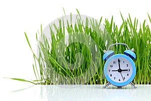 Blue alarm clock with grass