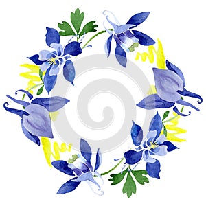 Blue aquilegia floral botanical flowers. Watercolor background illustration set. Frame border ornament square.
