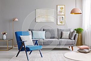 Blue armchair near grey settee in modern living room interior wi