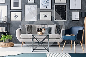 Blue armchair next to sofa and table in living room interior with posters and plant on pouf. Real photo photo